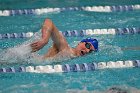 Swim vs Bentley  Wheaton College Swimming & Diving vs Bentley University. - Photo by Keith Nordstrom : Wheaton, Swimming & Diving